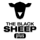 THE BLACK SHEEP